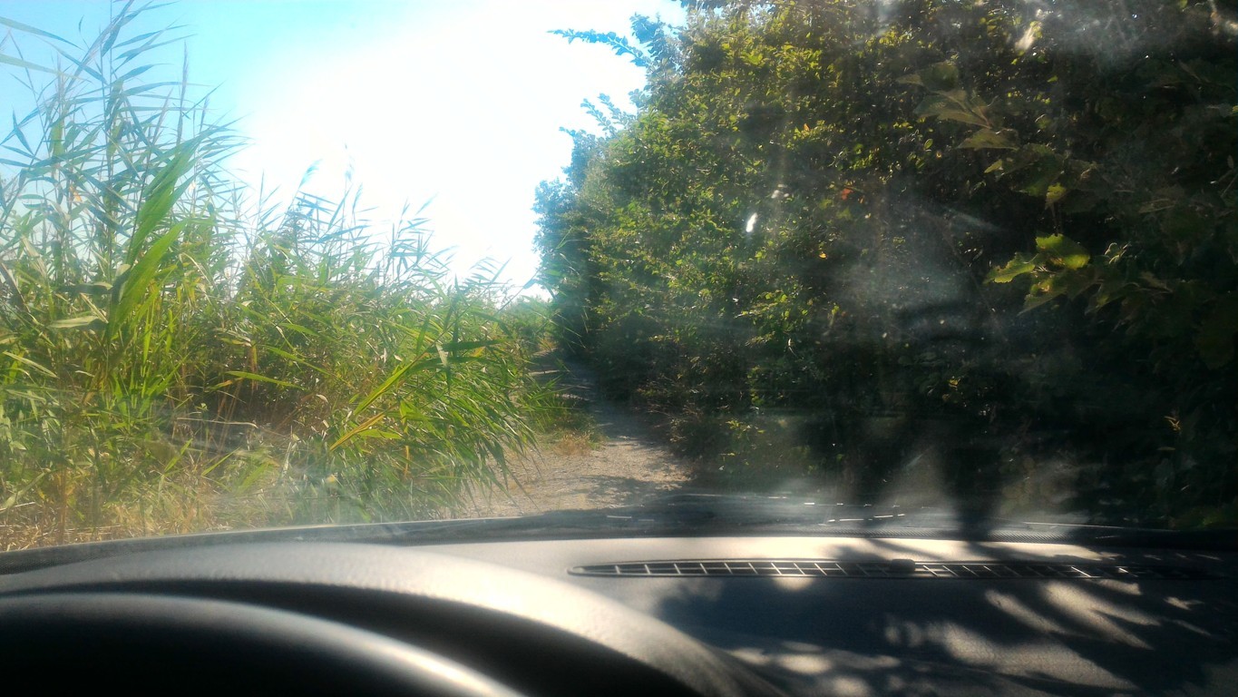 P_20160804_165217 .jpg